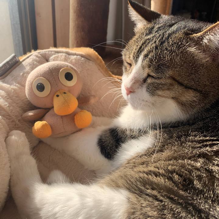 Eb7abbe6 14ec 40f4 9466 85f6a4b509fc 1643675562911