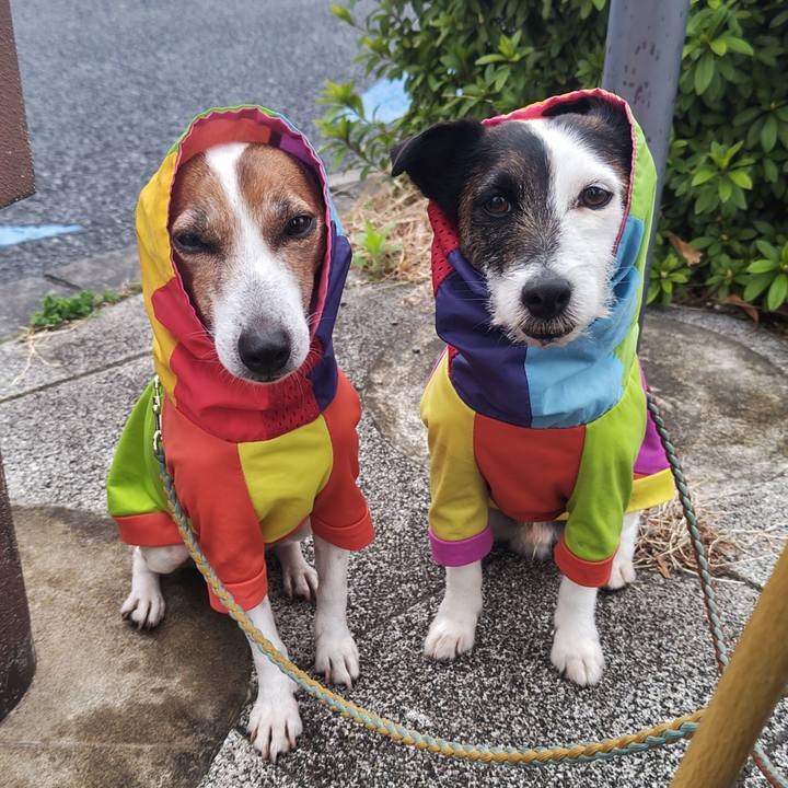 Eb7affd2 4eb4 4687 a3ab 4fb3dfa24983 1743112053820