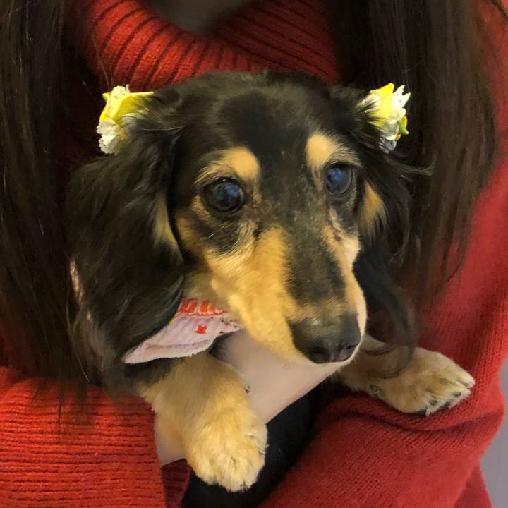 Eb7b0a3c c652 41f8 abd3 993c1dc56c4e 1551688605251