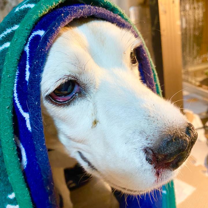 Eb7b2435 c33d 413b a790 5763daffc306 1670162712827