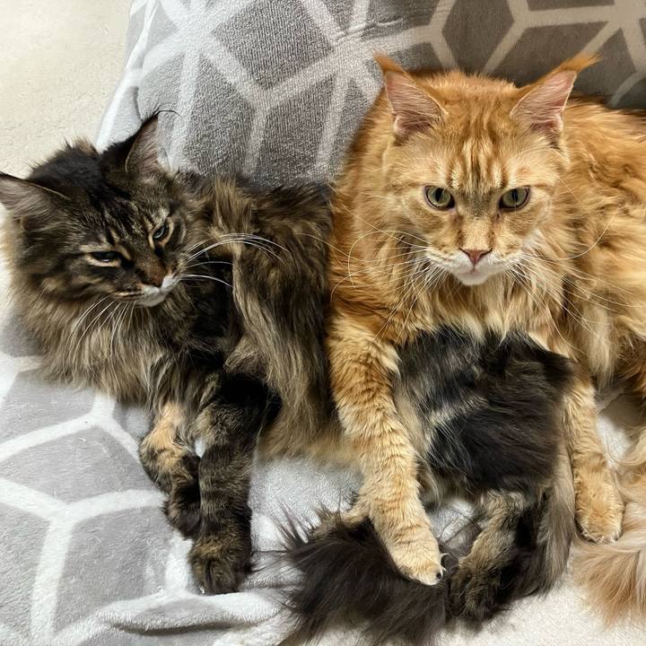 Eb7b38ec f518 41bd a111 5aa08ba99a68 1774004047798