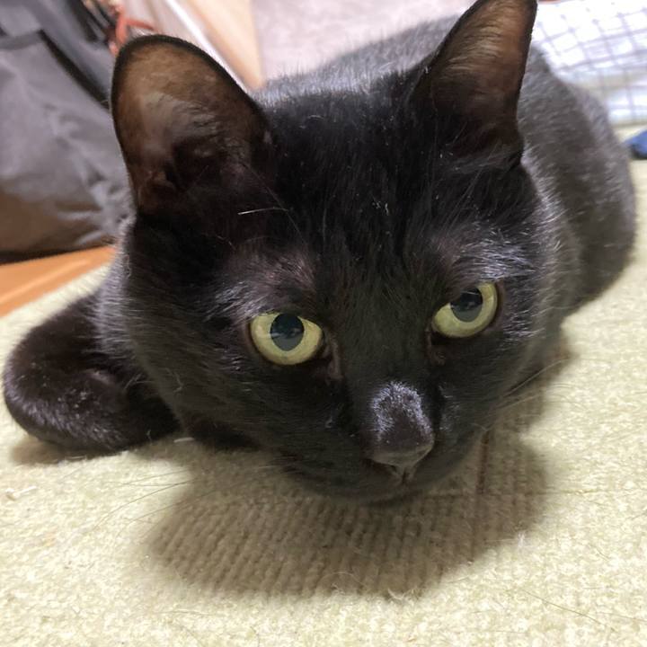 Eb7b3c2b c4ec 4320 92f7 f3e652ea871e 1684413131924