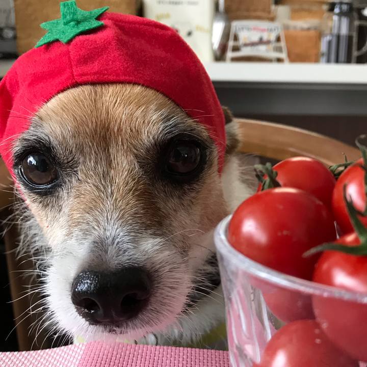 Eb7b655b 1924 4de8 a5a8 7a5337ebf755 1570687205842