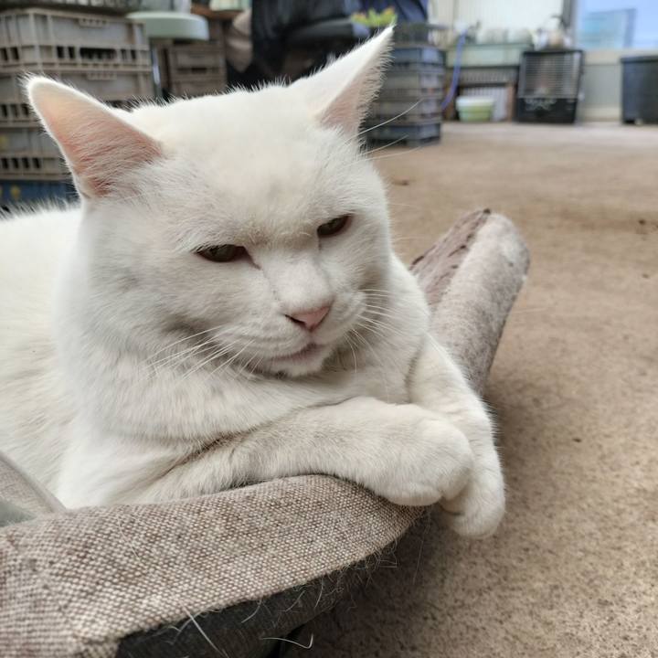 Eb7b6604 3931 4f7a 9634 12840564e1f3 1769148457794