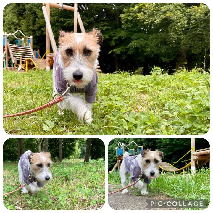 Eb7b6c77 2bcf 4c4c baea aed5e8386182 1623144466697