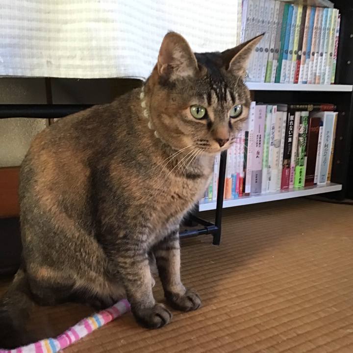 Eb7b757c 5d84 45e9 a66b 6aa228add7da 1645774832807