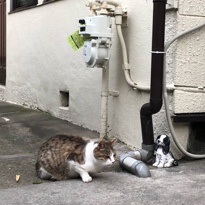 Eb7b8eb7 8c27 49c3 9129 e06c2e841453 1561231425567