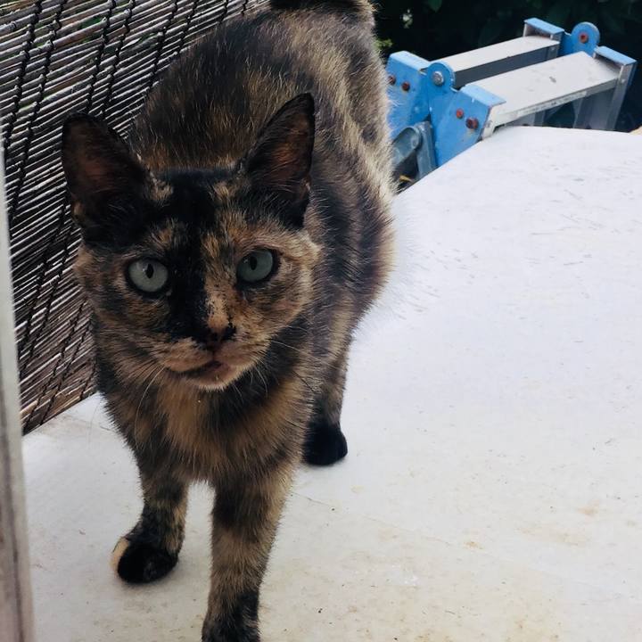 Eb7b9351 35c1 48fa b726 5105a3783146 1534693435481