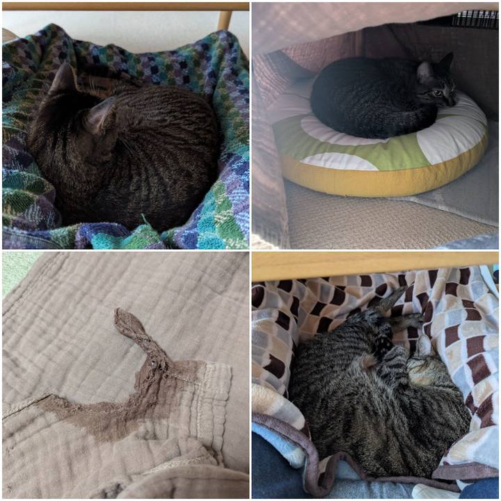 Eb7b9de1 cfcb 456f b712 23f31640ab57 1746427380833