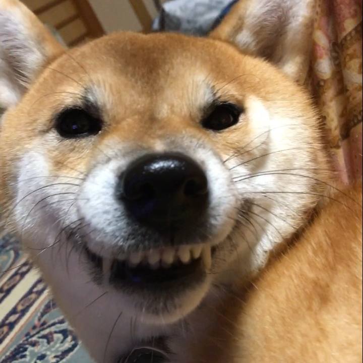 Eb7be566 9885 434a 8432 25c3a51d8377 1542893120247