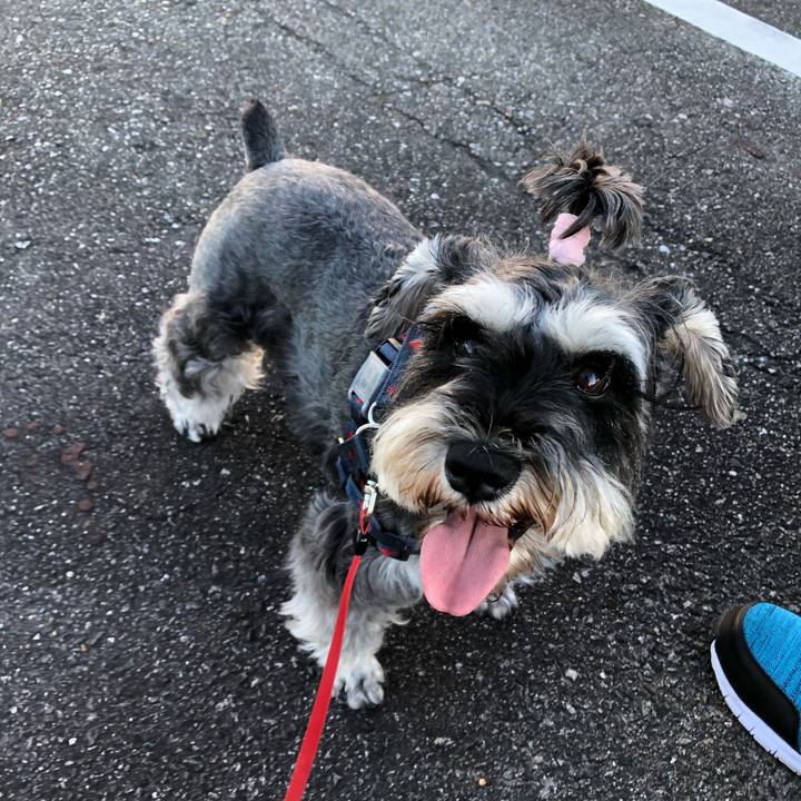 Eb7be89b 8717 44ce 9abf 8c5cdc316aa8 1626471172696