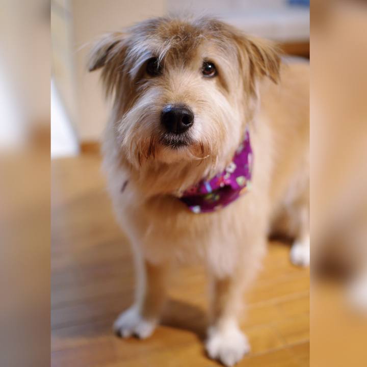 Eb7bf395 e562 4157 8cd8 14dfa9277bd8 1645420448950