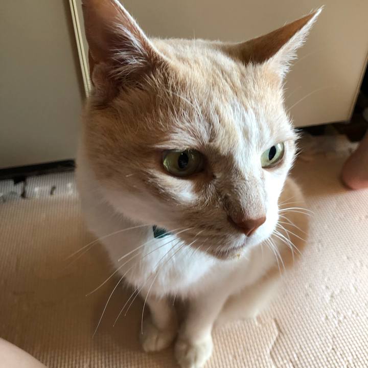 Eb7c2c01 c909 4a2a 990d 1ed2bd8a1d1c 1626174484458