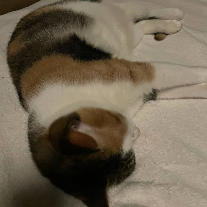 Eb7c3366 225d 4938 984f cc93e35dfc37 1639754836560