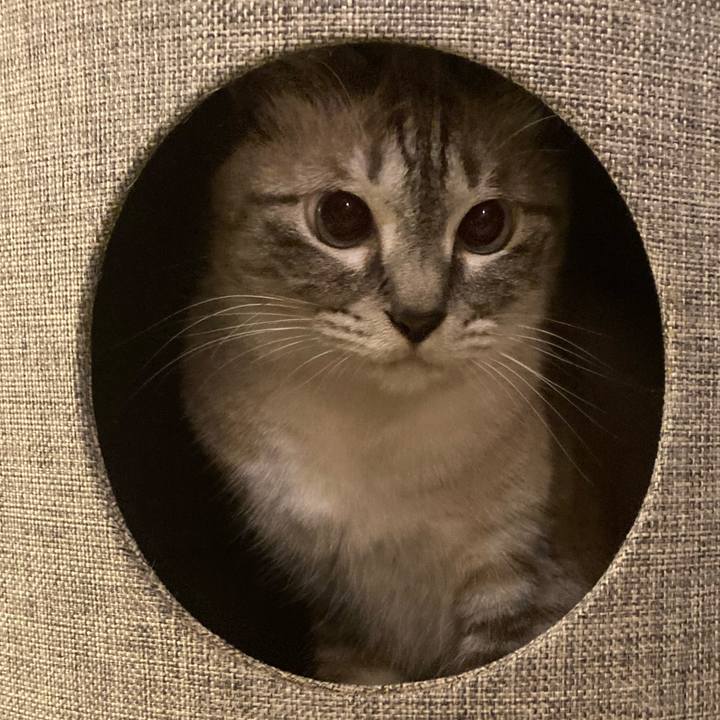 Eb7c4241 30af 4514 983c 09c4062933bd 1658046577634