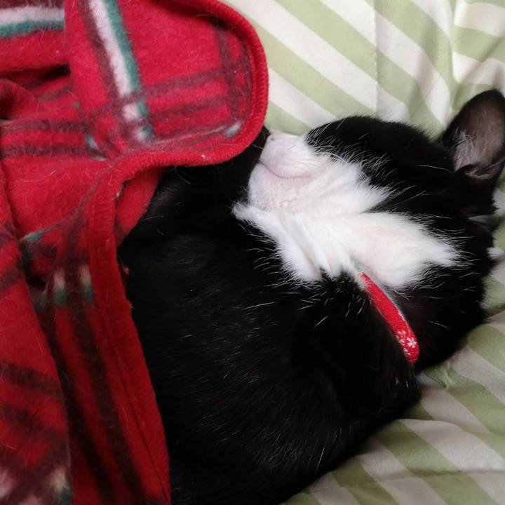 Eb7c8afa 6470 4d1f 9c52 c2a1ef40e1de 1643081873934