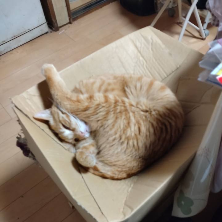 Eb7ce491 0fc1 4800 9c2c 801402f490f8 1681518256768