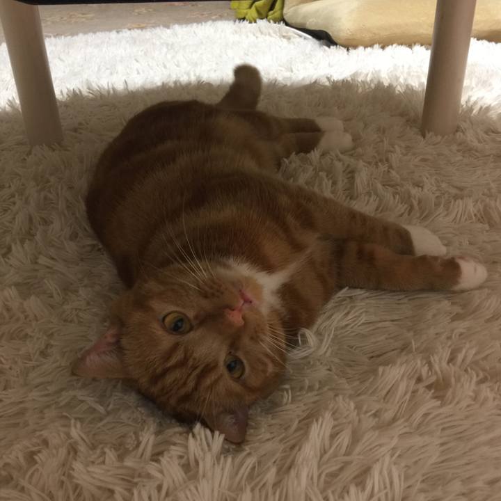 Eb7d056f 2377 418b 87e5 c21c61b9f591 1539431568946