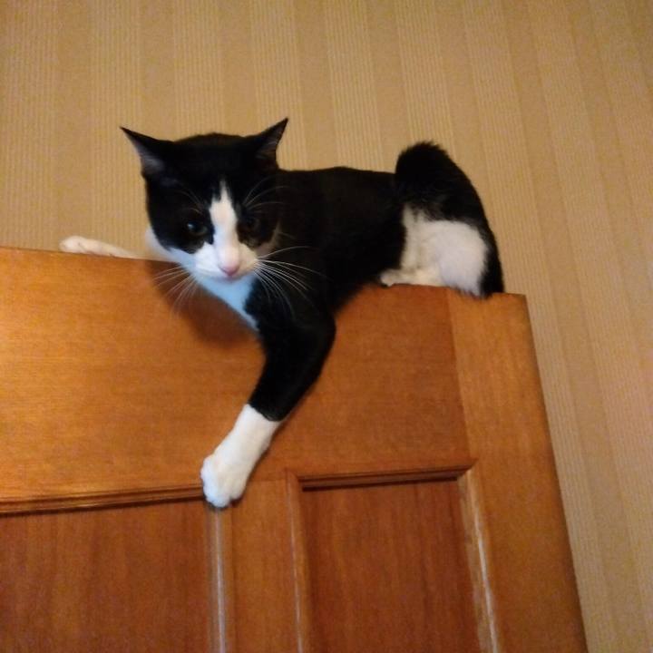 Eb7d08c8 3d8b 4170 baf1 a799f19cffb2 1655328946525