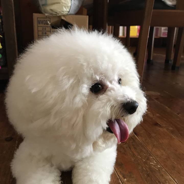 Eb7d62a2 baaf 4e12 a89f 9ff5b5d75df7 1532993379850