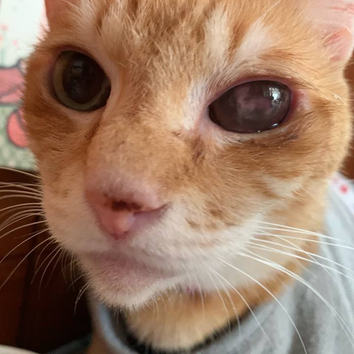 Eb7d62ca ac3a 4a72 b43b 21d9ab22cb48 1605850740334