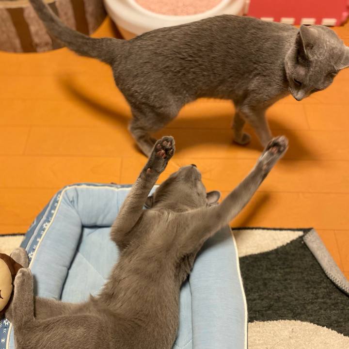 Eb7d9a55 7411 42a3 ba64 779b0456566c 1626610707358