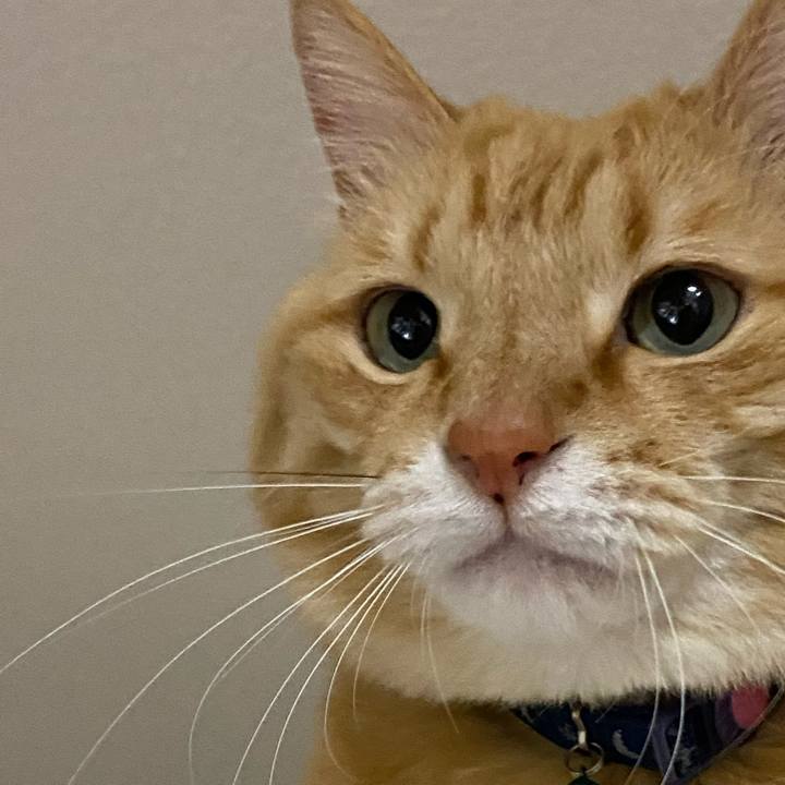 Eb7df12f 3cf2 4321 8541 49fc003f72a1 1618876654687