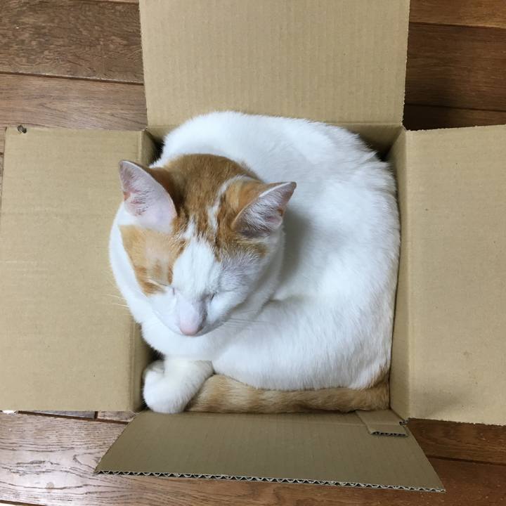 Eb7dfdc2 6dfc 49da 872f 20fd73ec4551 1509027603099