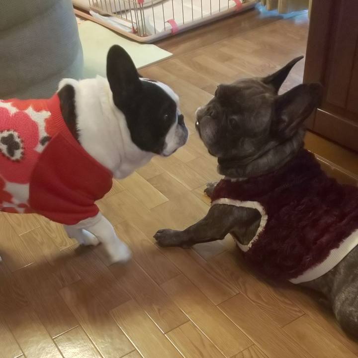 Eb7e000b e9ba 4b72 b77b b527dddd7a19 1678590877180