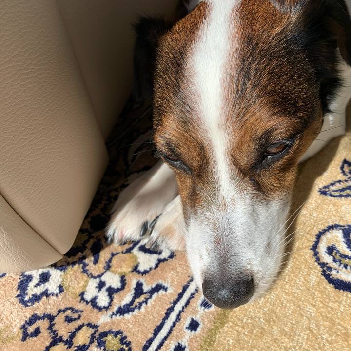 Eb7e11a5 c15a 405f aacb d44e66784ca2 1583889447810