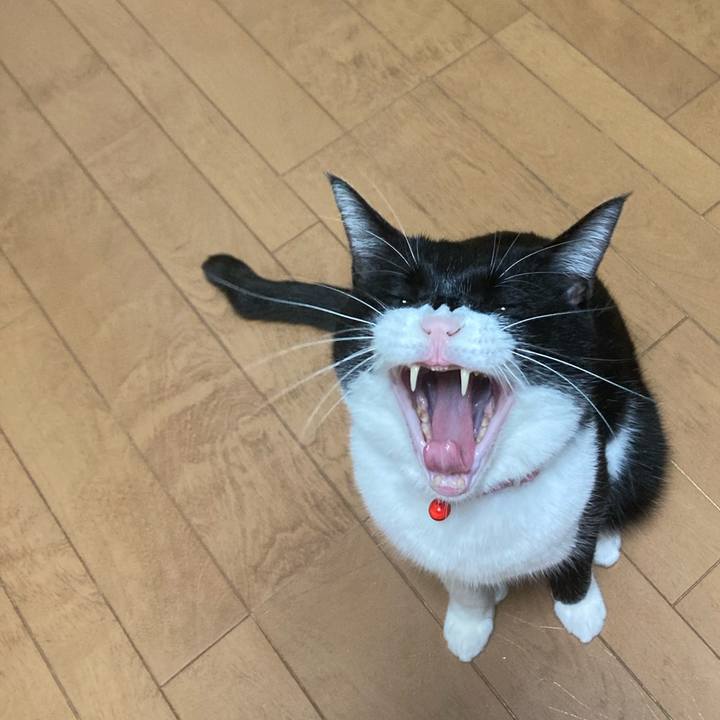 Eb7e2cc4 e5ed 4243 b06c 33510f6d6f92 1638701418166