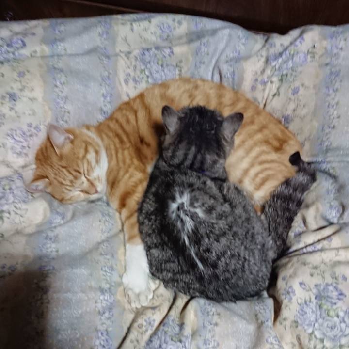 Eb7e5b1e 1dd3 4ee9 ae18 c02faf6717d5 1579953690846