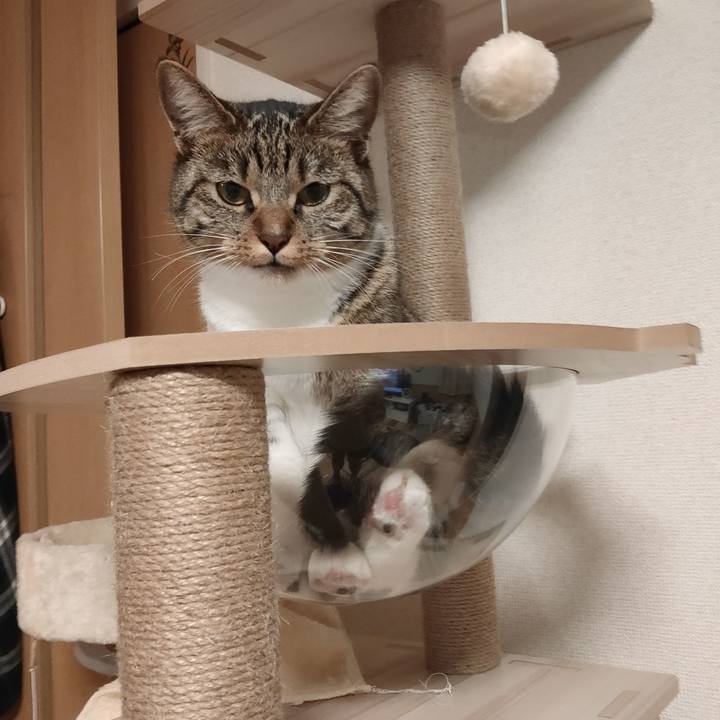 Eb7e87ed 94e7 4ef6 854c 119e7eff26a6 1657460646854