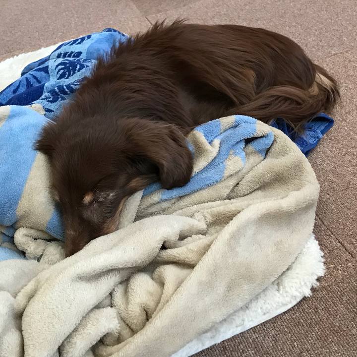 Eb7eb326 5552 46da a06f 1327076c916d 1513489546528