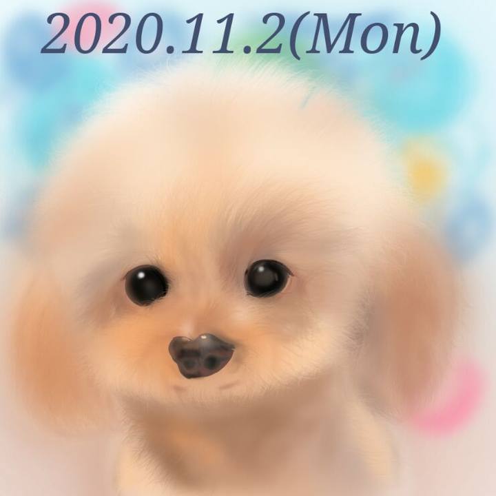 Eb7edfaa bdf3 424e 89a4 bfc3142c4dd1 1604282064622