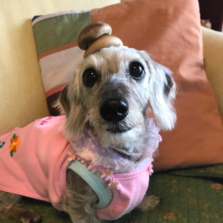 Eb7eeffb f7cb 4d2f 8602 b1e2ca7423e5 1510629036134