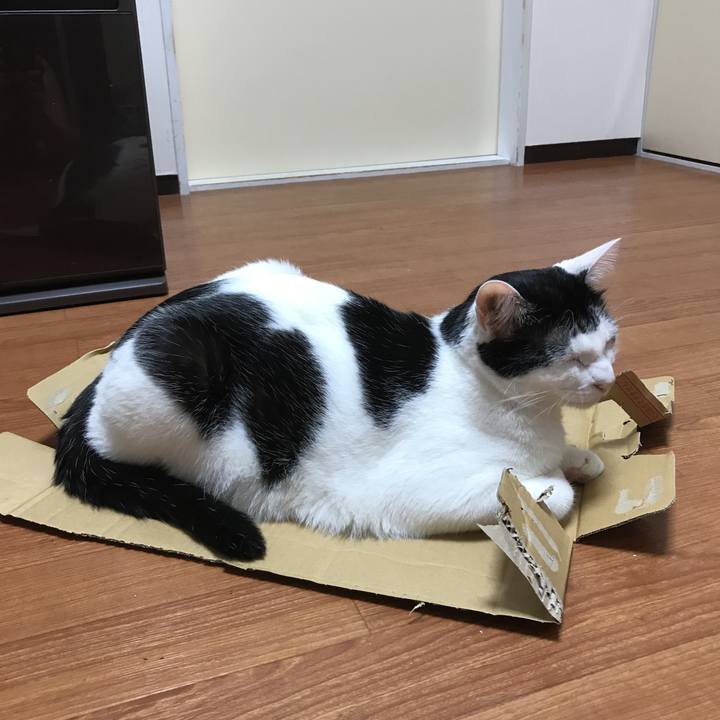 Eb7f1035 a3ef 4d8a 9303 59957dc479bf 1531390300201