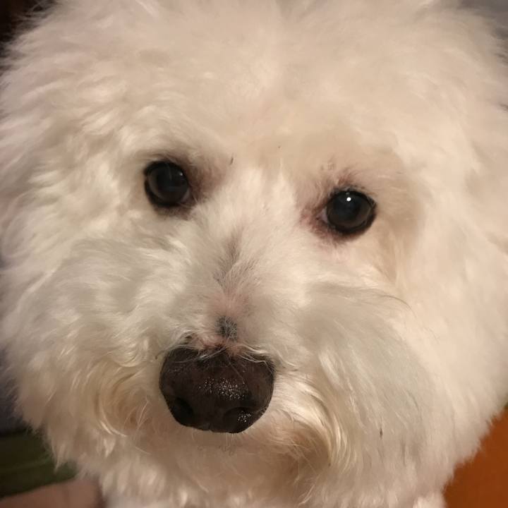 Eb7f1a6f 076b 4a1b b631 523cf21092d2 1537953010147