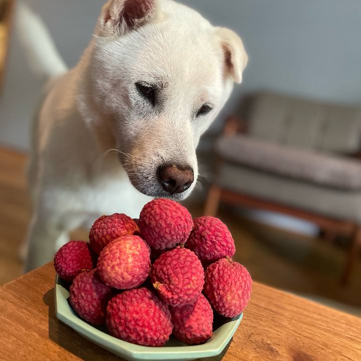 Eb7f2c92 6664 41f3 a5f5 e6f19b6799ac 1752373467460