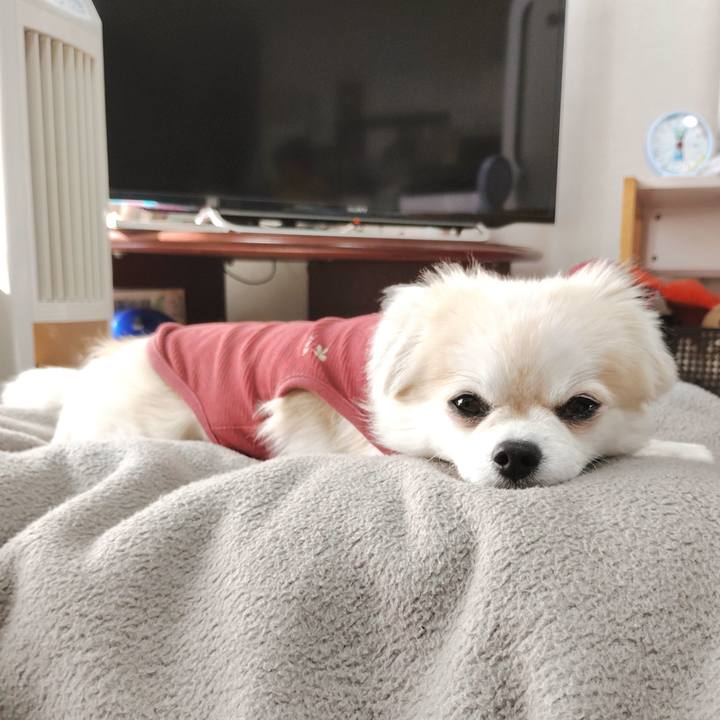 Eb7f52d3 808a 4b1d 8c49 e5583d0022d9 1762174946963