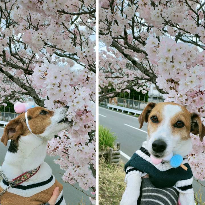 Eb7f54fa 13eb 41ac a723 68fdfd63580f 1773655708841