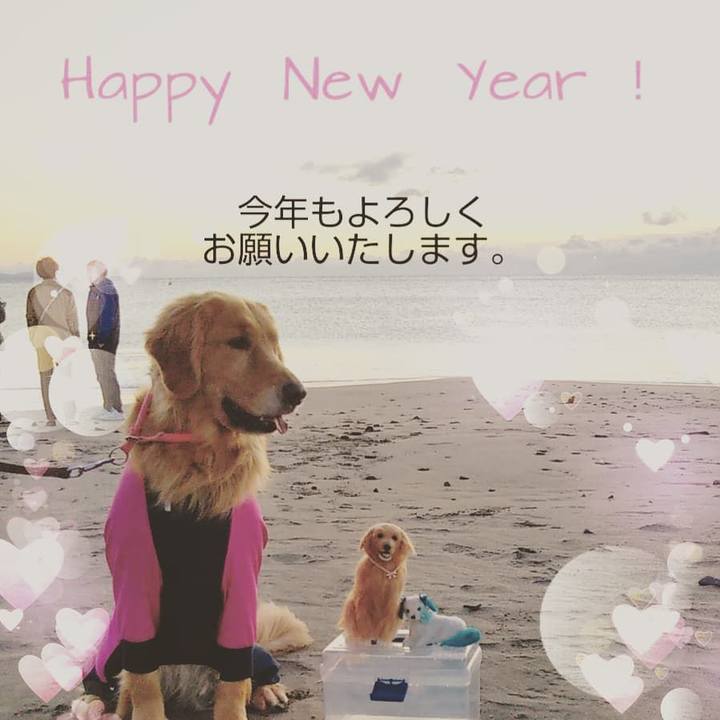 Eb7fb440 6d91 46df 835e d977c0d303ab 1546649061646