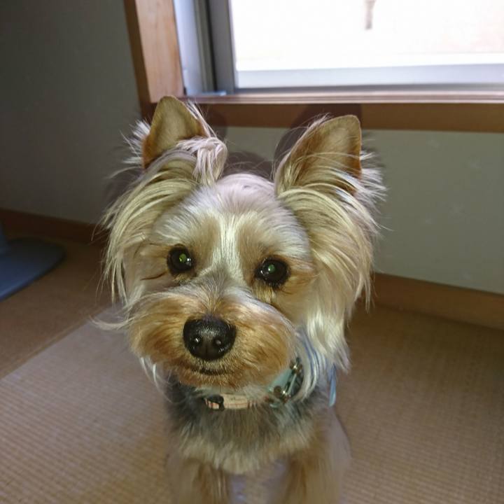 Eb7fc6bf 77cf 4c30 b373 322d89d62e3e 1526884504124