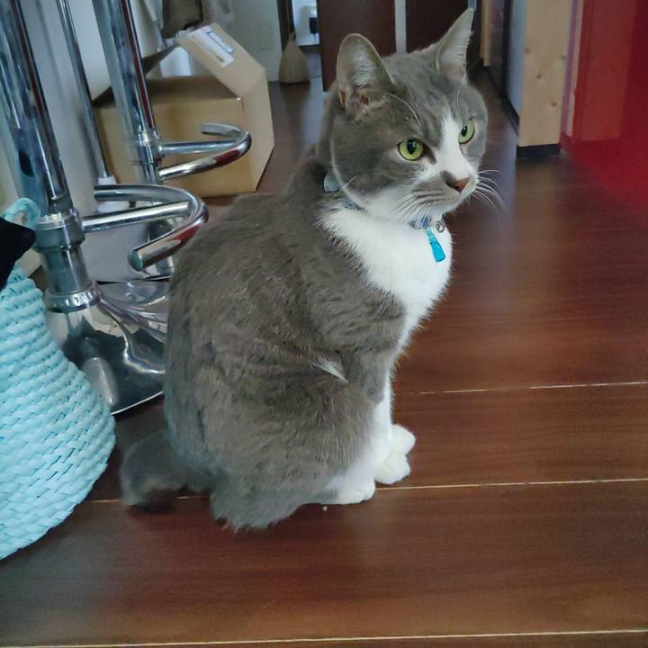 Eb7fe2c0 cd8a 4606 8acf f322806b869e 1677378935094