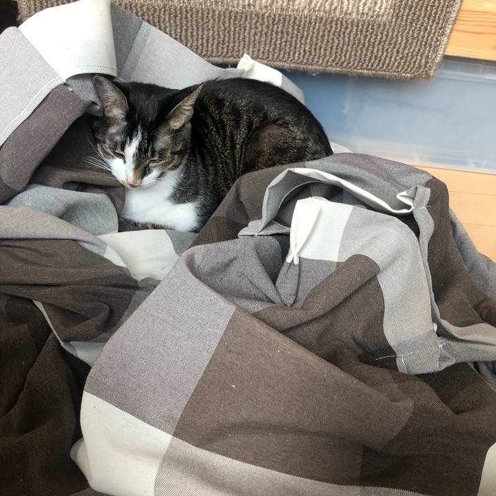 Eb7ff1d6 de52 42d1 a2dd 26b470cd153f 1598623075271