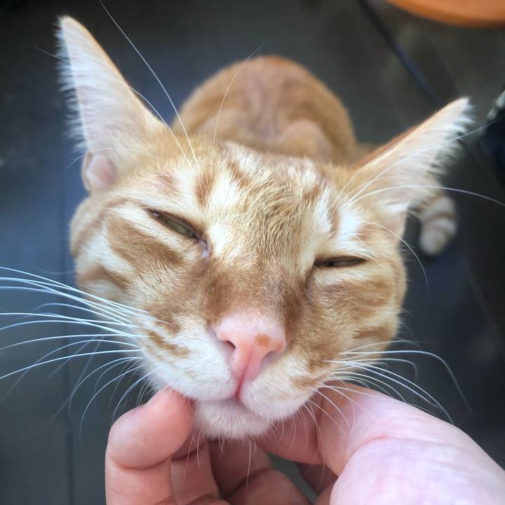 Eb802ae6 6243 4ad3 b8e4 3bcdc2635518 1637007527323