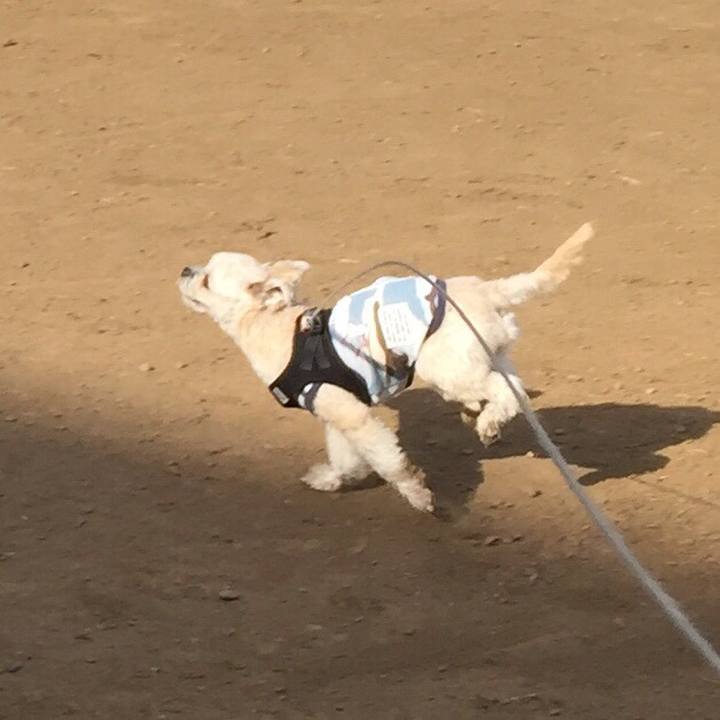 Eb806968 4592 46a7 baa7 50206258e2f5 1542351562180