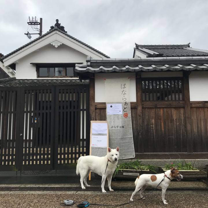 Eb806ad4 1b43 42b8 a5d6 46e5319c1e2f 1509151713586