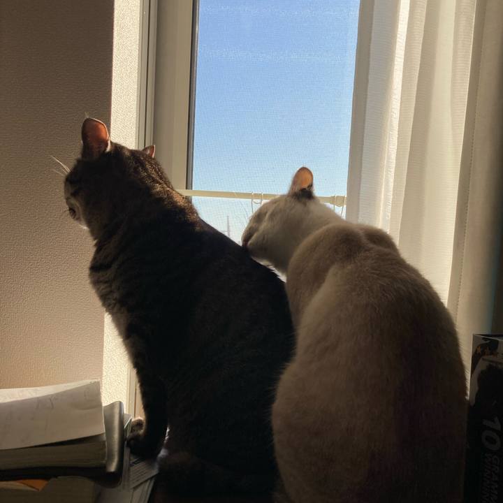 Eb80754e 8b05 4c97 a6b7 f0797d972803 1634511923081