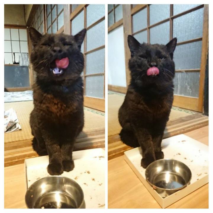 Eb80a5b7 45dd 4796 ac6c 4a22a593cfac 1620386339728